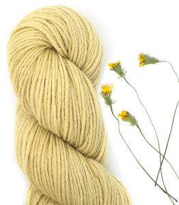 1 SKEIN WILD DANDELIONS